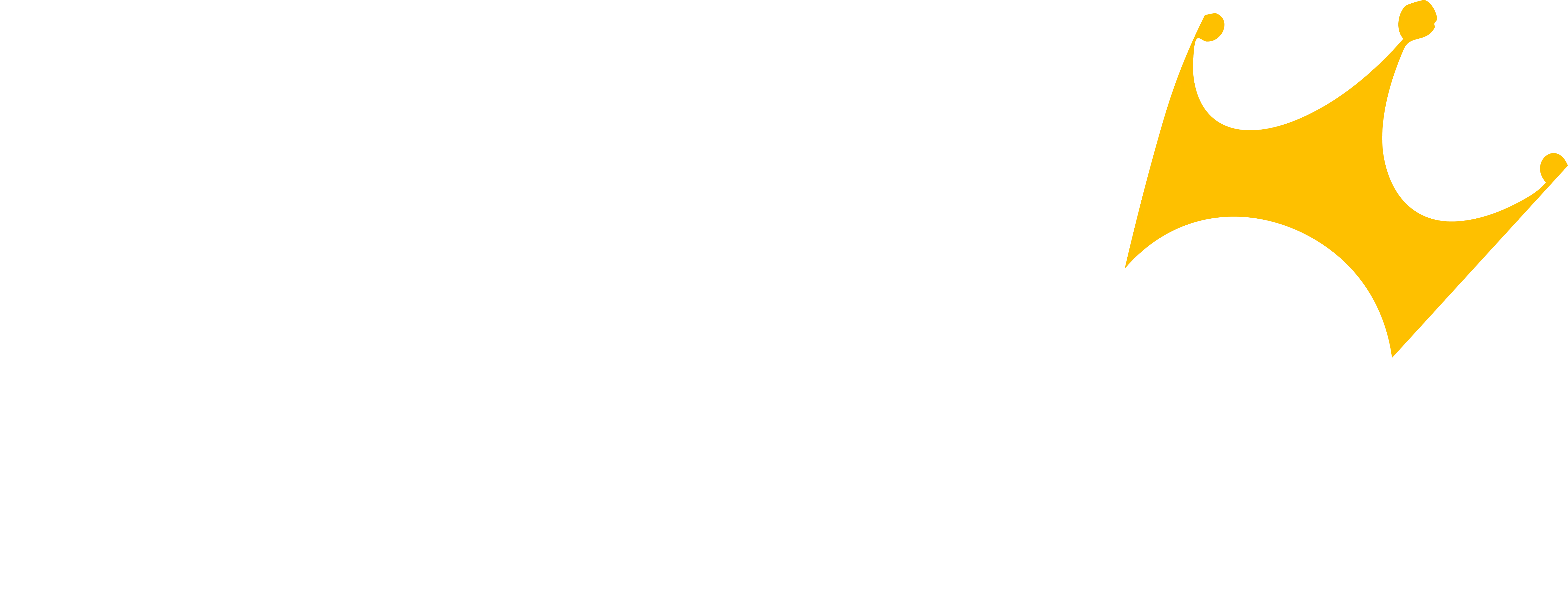 9Wicket Logo